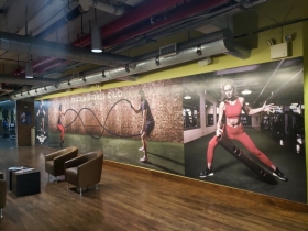 Wall Window Graphics